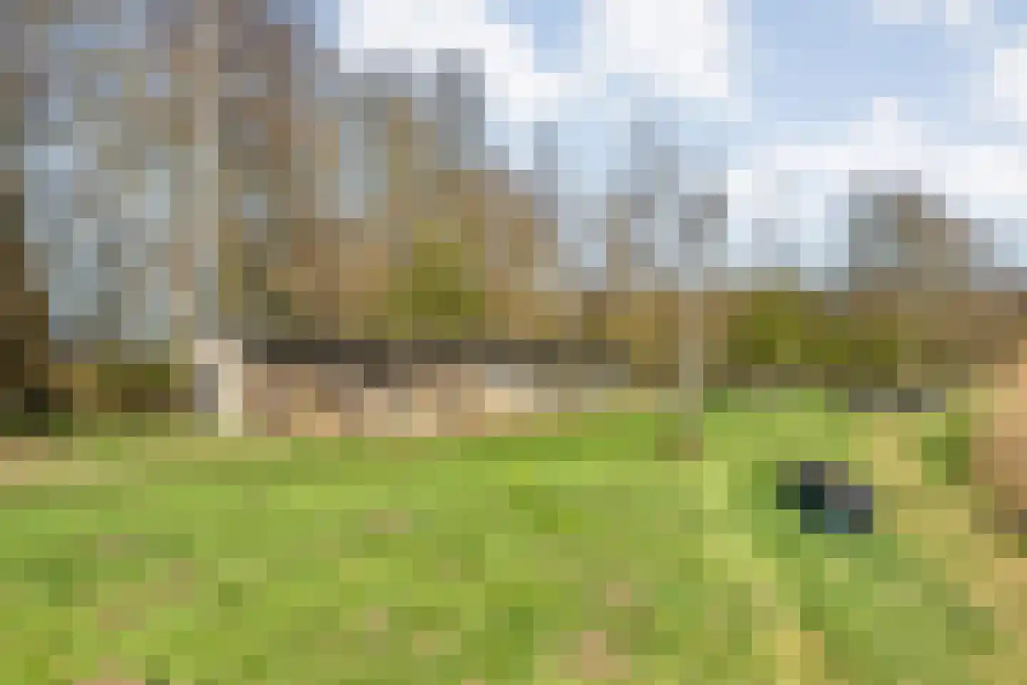 Holtien 11 Dwingeloo thumbnail 61