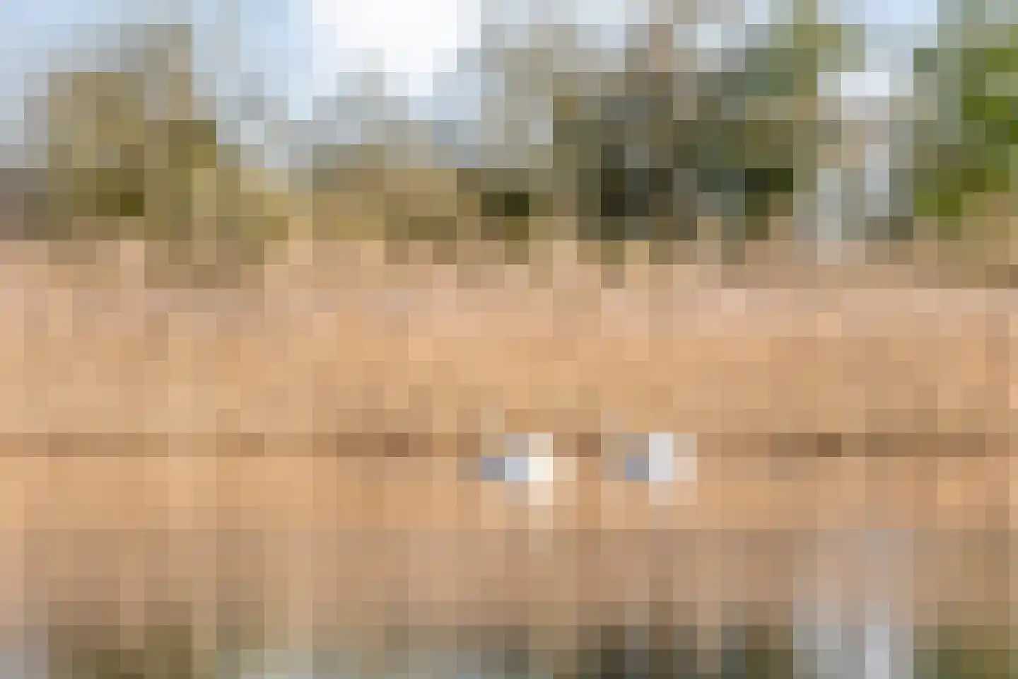 Holtien 11 Dwingeloo thumbnail 63