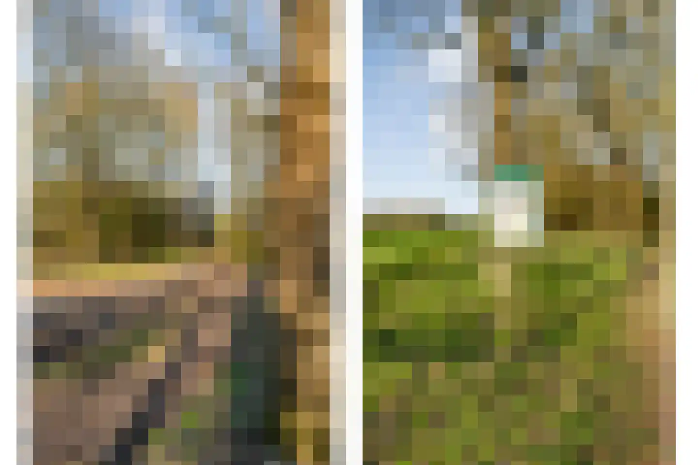 Holtien 11 Dwingeloo thumbnail 66