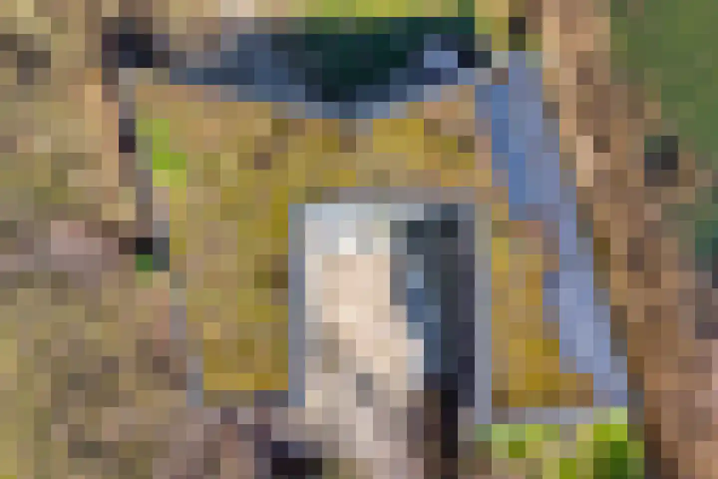 Holtien 11 Dwingeloo thumbnail 74