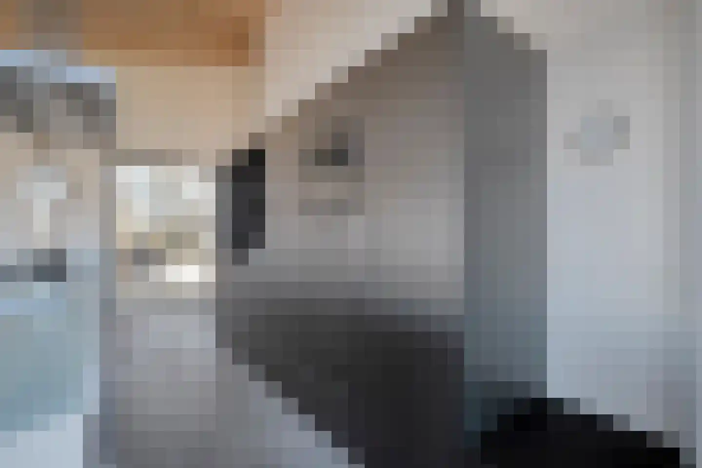 Holtien 11 Dwingeloo thumbnail 90