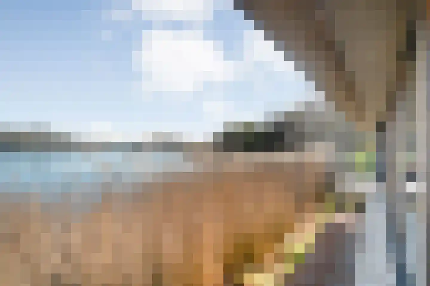 Holtien 11 Dwingeloo thumbnail 92