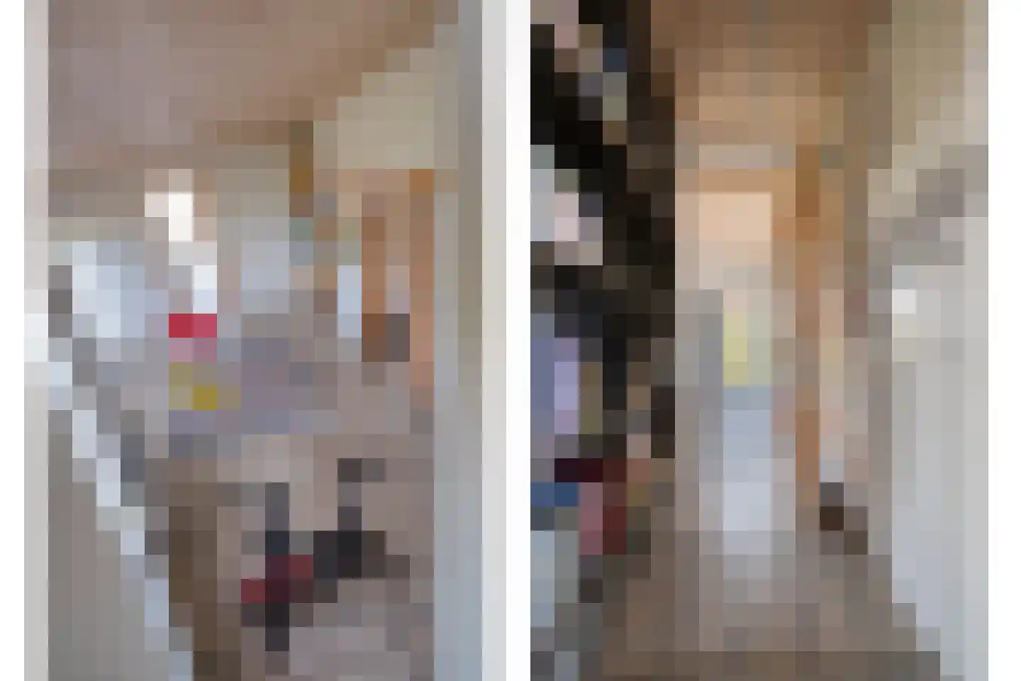Holtien 11 Dwingeloo thumbnail 98