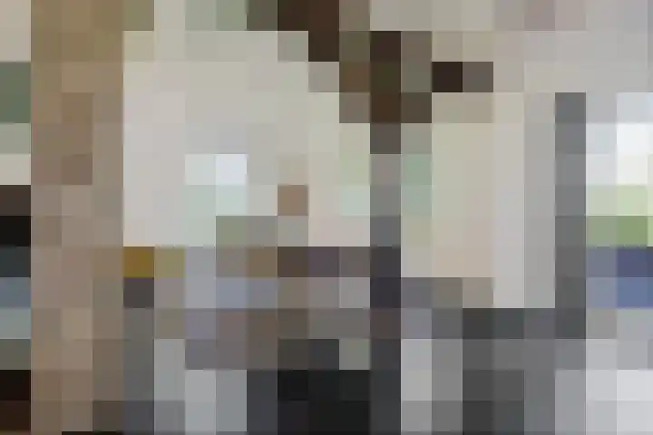 Holtien 7 Dwingeloo thumbnail 10