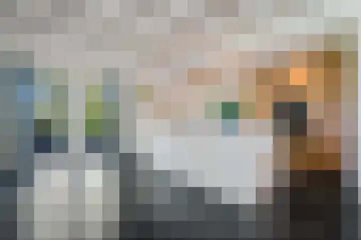 Holtien 7 Dwingeloo thumbnail 11