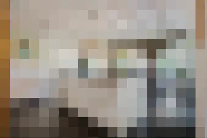 Holtien 7 Dwingeloo thumbnail 13