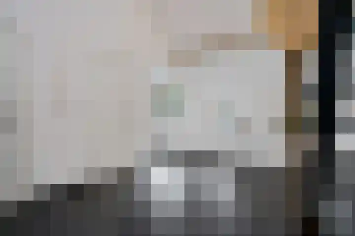 Holtien 7 Dwingeloo thumbnail 15