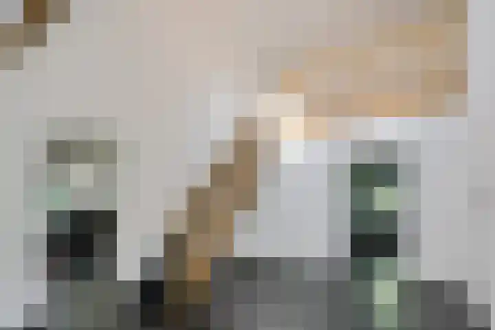 Holtien 7 Dwingeloo thumbnail 16