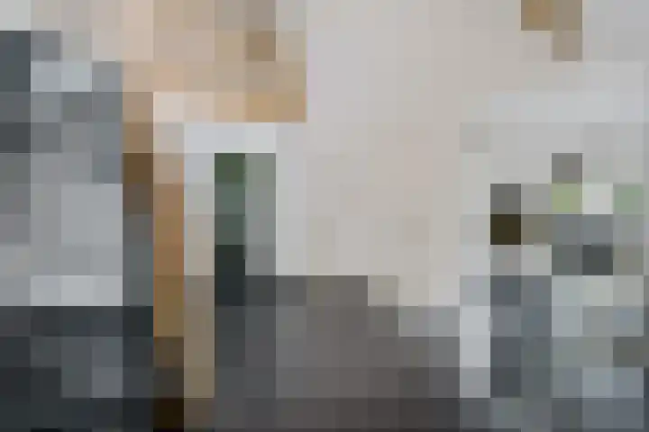 Holtien 7 Dwingeloo thumbnail 17