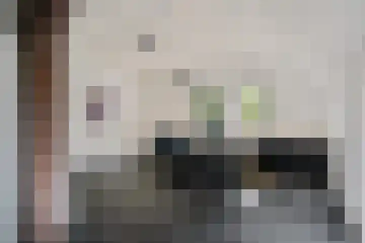 Holtien 7 Dwingeloo thumbnail 18