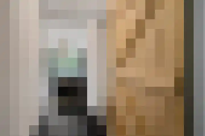 Holtien 7 Dwingeloo thumbnail 19