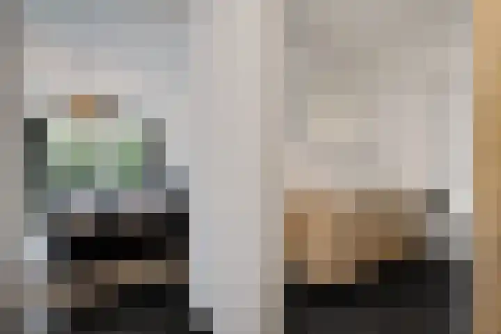Holtien 7 Dwingeloo thumbnail 20