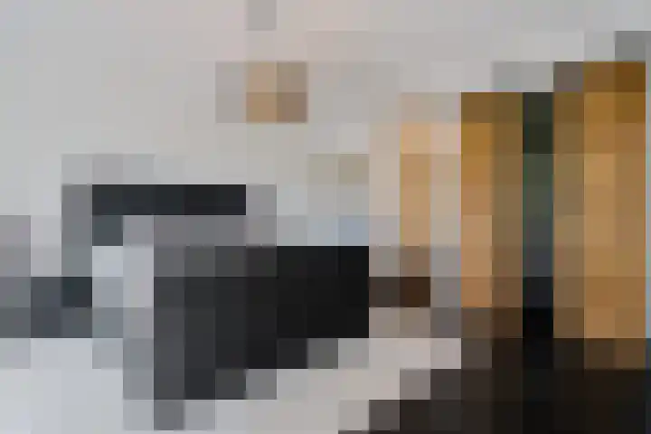 Holtien 7 Dwingeloo thumbnail 22