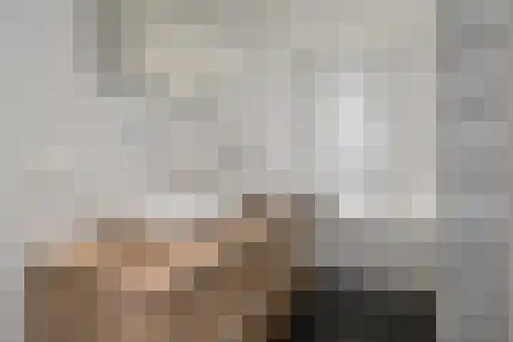 Holtien 7 Dwingeloo thumbnail 24