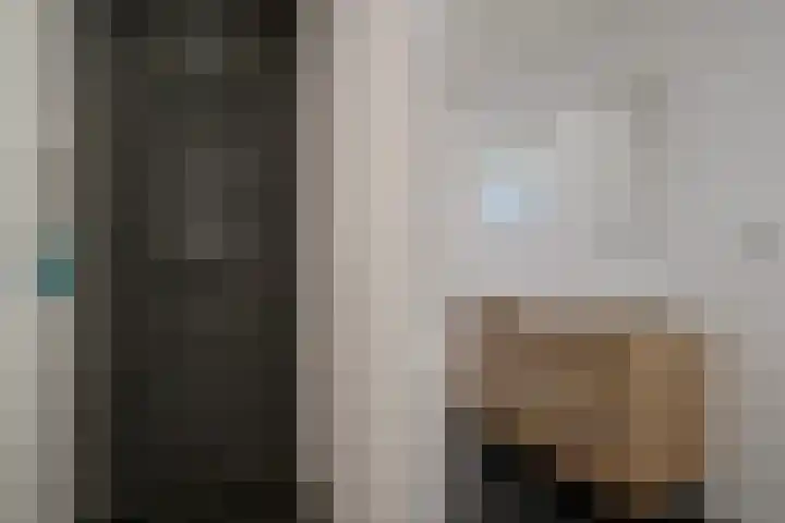 Holtien 7 Dwingeloo thumbnail 25