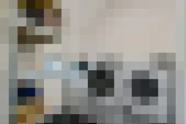 Holtien 7 Dwingeloo thumbnail 27