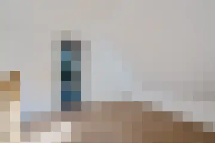 Holtien 7 Dwingeloo thumbnail 29