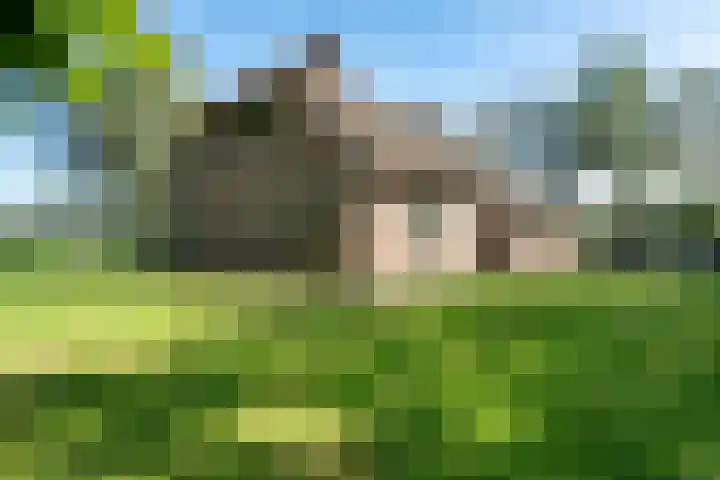 Holtien 7 Dwingeloo foto 3