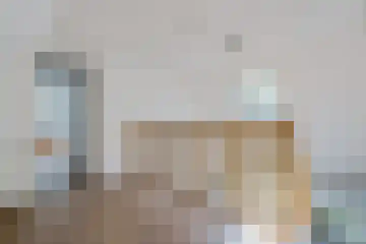 Holtien 7 Dwingeloo thumbnail 30