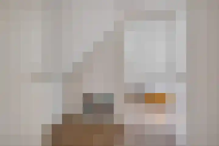 Holtien 7 Dwingeloo thumbnail 31