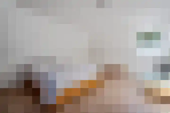 Holtien 7 Dwingeloo thumbnail 32