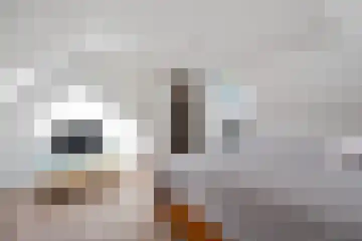 Holtien 7 Dwingeloo thumbnail 33