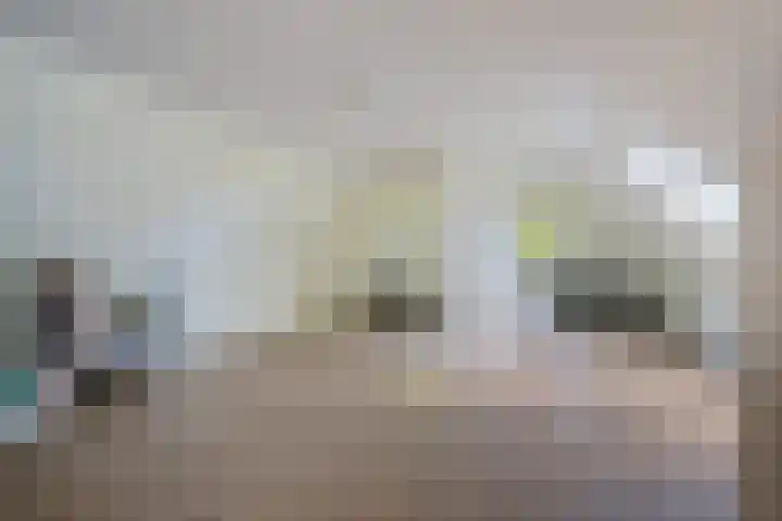 Holtien 7 Dwingeloo thumbnail 34
