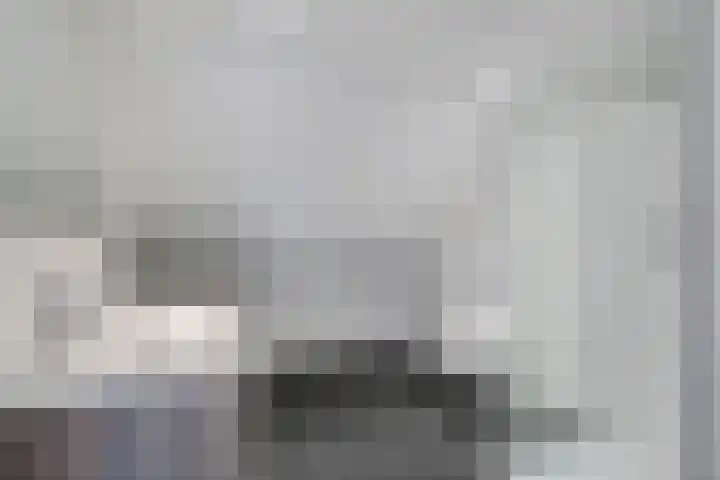 Holtien 7 Dwingeloo thumbnail 36