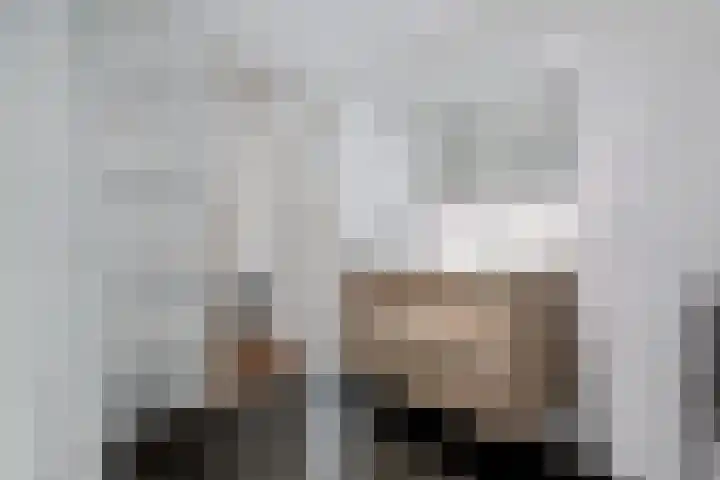 Holtien 7 Dwingeloo thumbnail 37