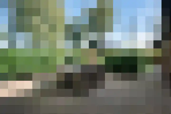 Holtien 7 Dwingeloo thumbnail 38