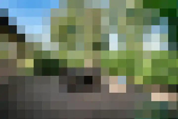 Holtien 7 Dwingeloo thumbnail 39