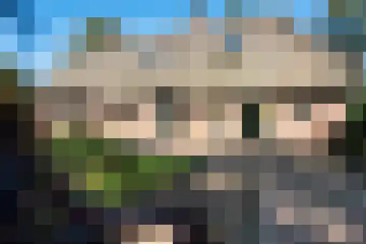 Holtien 7 Dwingeloo thumbnail 4