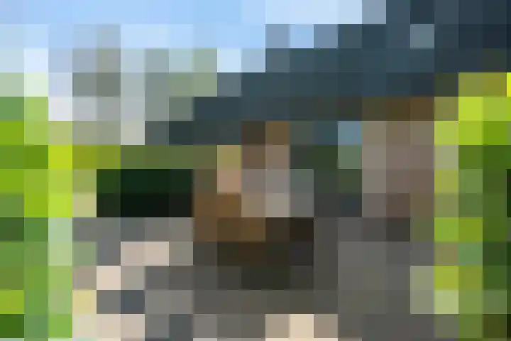 Holtien 7 Dwingeloo thumbnail 40