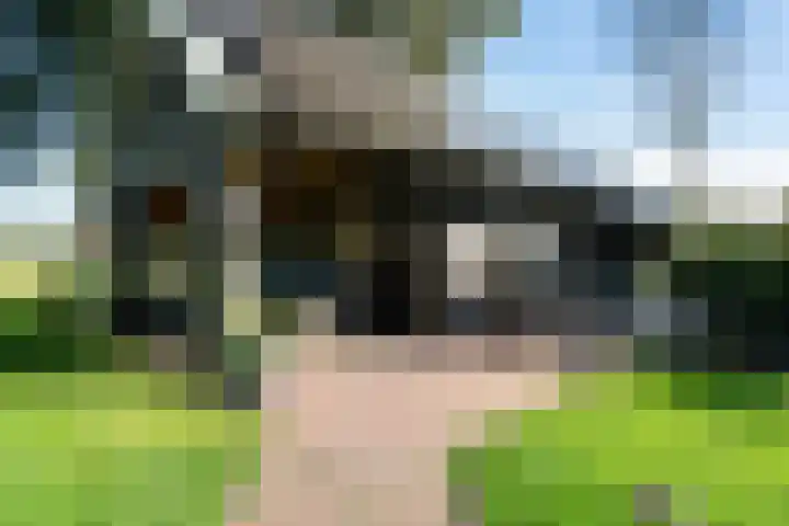 Holtien 7 Dwingeloo thumbnail 41