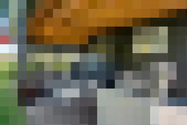 Holtien 7 Dwingeloo thumbnail 42