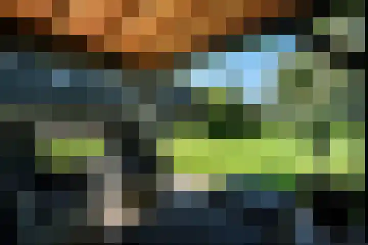 Holtien 7 Dwingeloo thumbnail 43