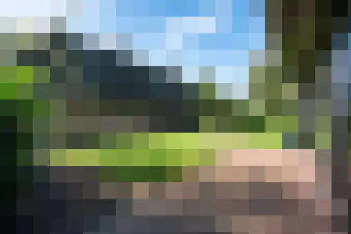 Holtien 7 Dwingeloo thumbnail 44