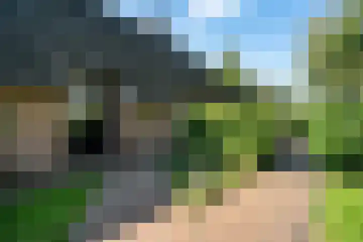 Holtien 7 Dwingeloo thumbnail 45