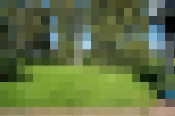 Holtien 7 Dwingeloo thumbnail 46