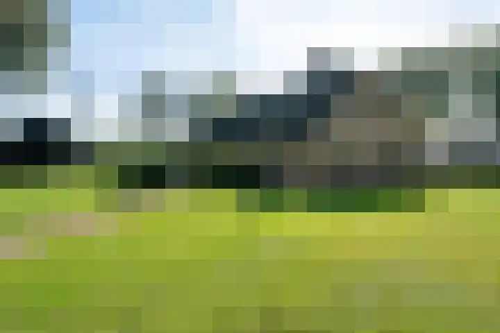 Holtien 7 Dwingeloo thumbnail 47