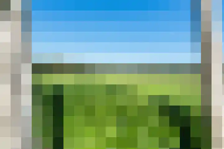 Holtien 7 Dwingeloo thumbnail 48