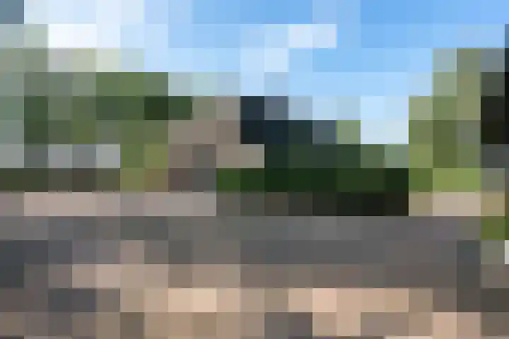 Holtien 7 Dwingeloo thumbnail 50