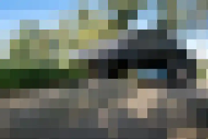 Holtien 7 Dwingeloo thumbnail 51