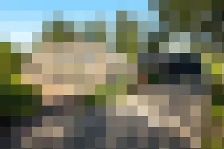 Holtien 7 Dwingeloo thumbnail 53
