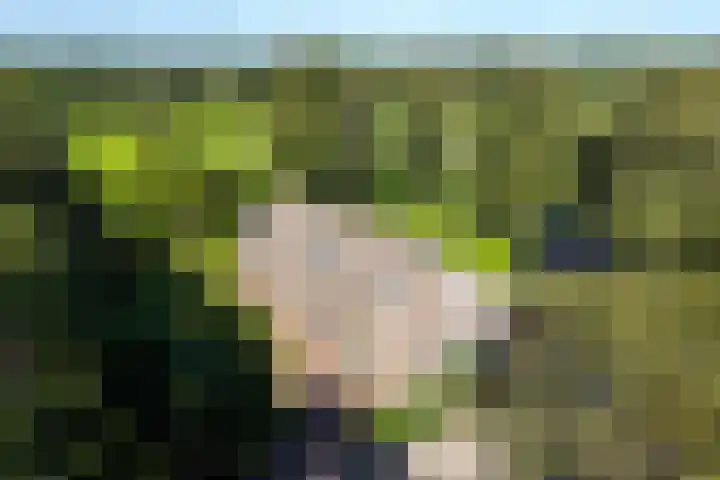 Holtien 7 Dwingeloo thumbnail 55