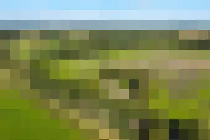Holtien 7 Dwingeloo thumbnail 56