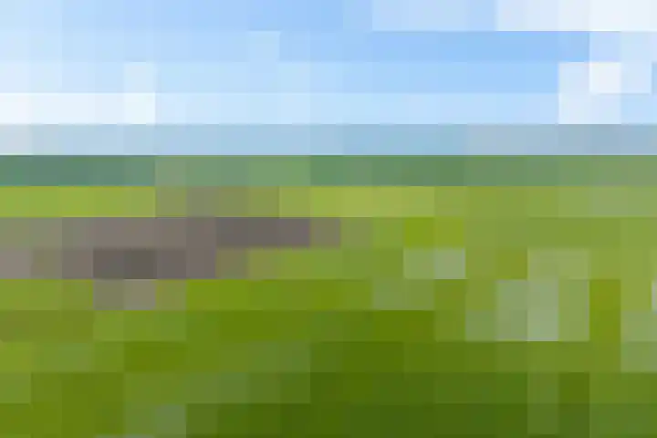 Holtien 7 Dwingeloo thumbnail 57