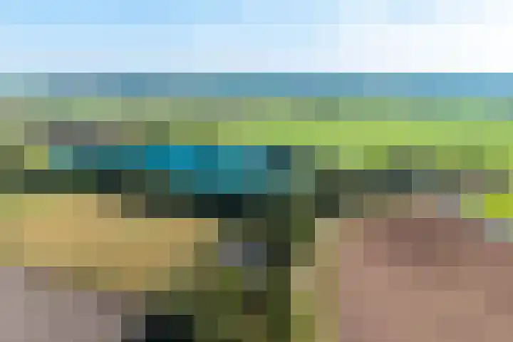 Holtien 7 Dwingeloo thumbnail 58