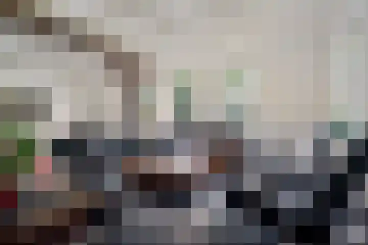 Holtien 7 Dwingeloo thumbnail 7