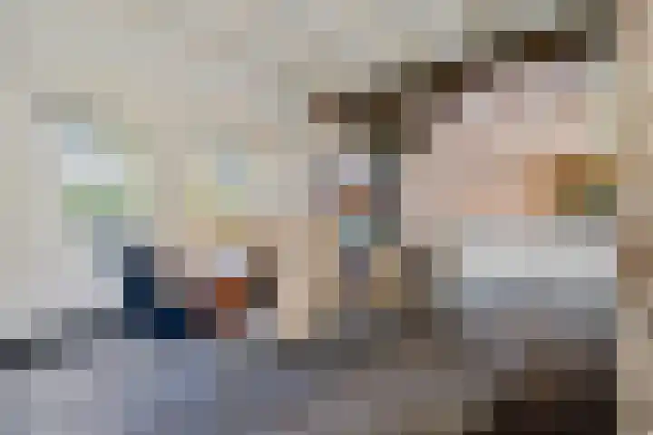 Holtien 7 Dwingeloo thumbnail 9